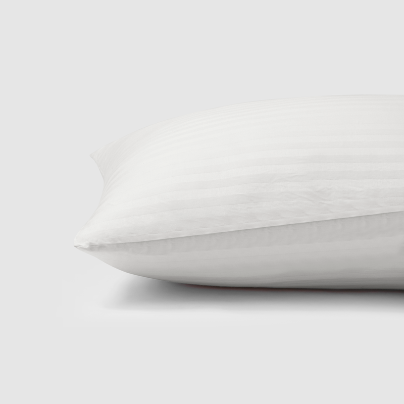 Snowy Vacuumed Pillow Filler